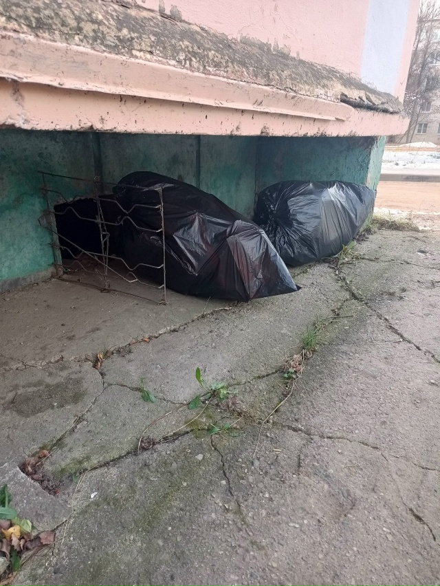 К сожалению, некоторые свиньи не могут донести мусор д?...