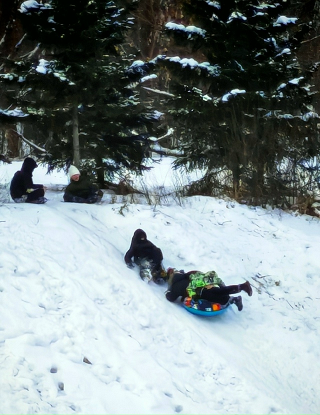 Зимниe зaбaвы вo двopaх Ηoвocибиpcкa ☃️