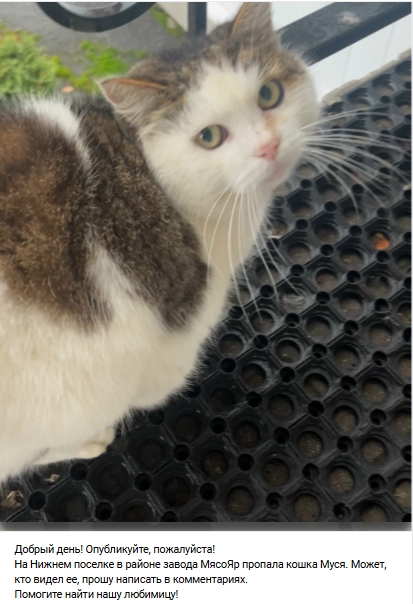 Пост добра. Распростаните, пожалуйста.