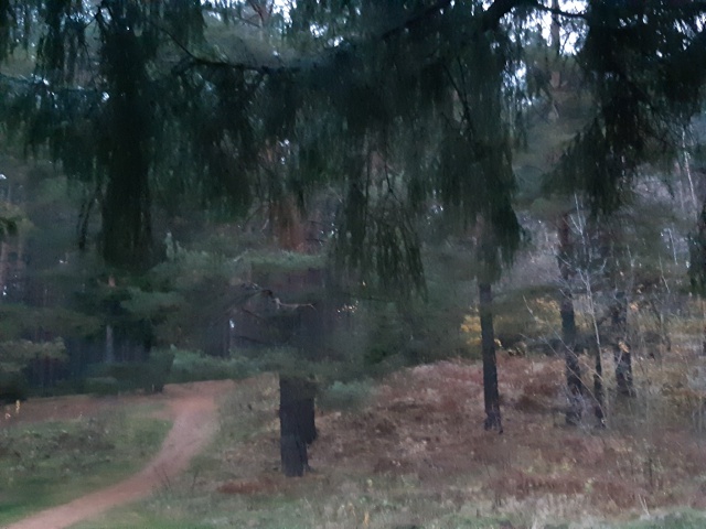 Писал бы маслом, кто то бы сказал, что вдохновенье...
Но ?...