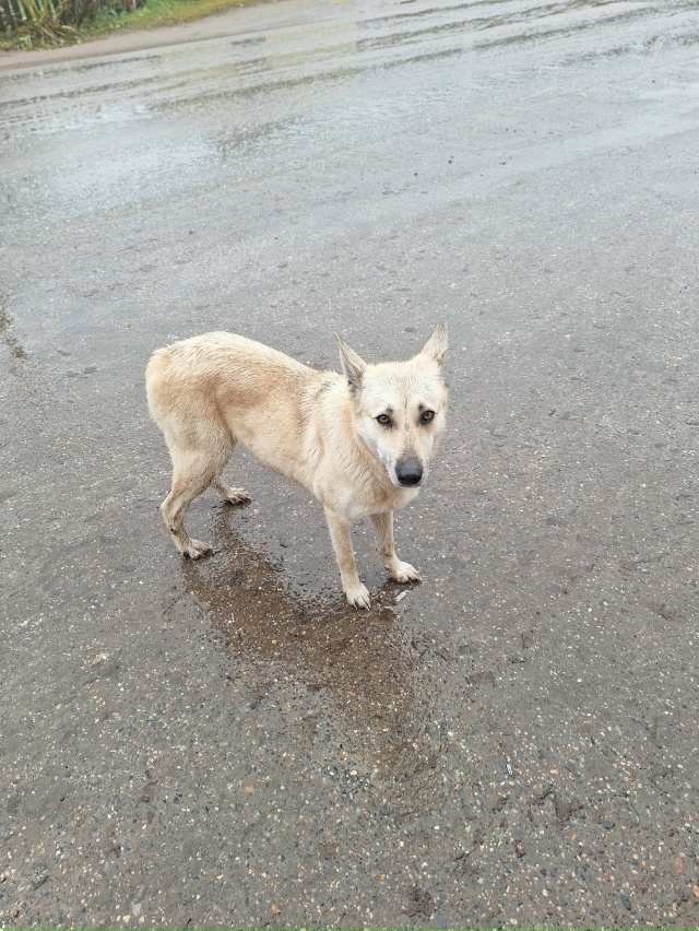 Девчуля никому не нужна!
Оказывается, у неё была горе-«?...
