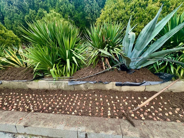 💎 Алупка - новая жемчужина Южного берега Крыма 🌷
Сотр...