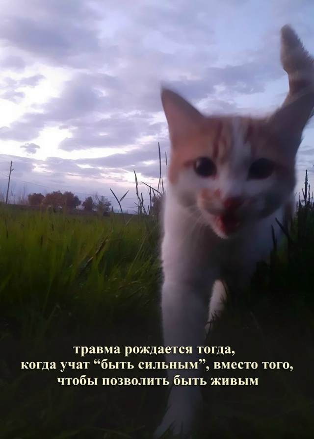 Травма не появляется сама по себе...