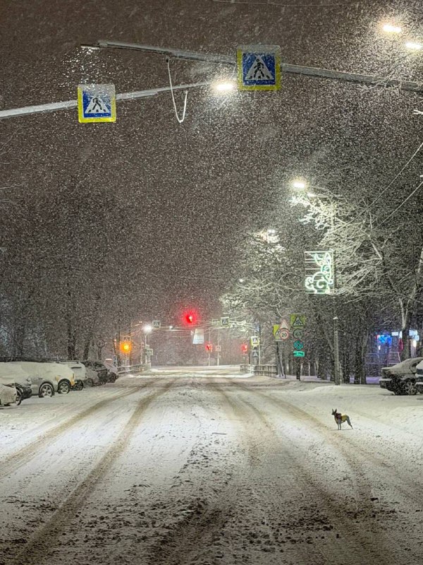 В Москве и Подмосковье полнейший джингл беллс — за ночь выпала треть месячной нормы осадков.
Зима т