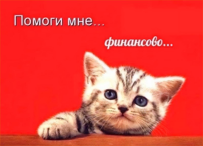 Сегодня отмечается День финансовой помощи
В этот праздник никто не имеет права отказать тебе, если
