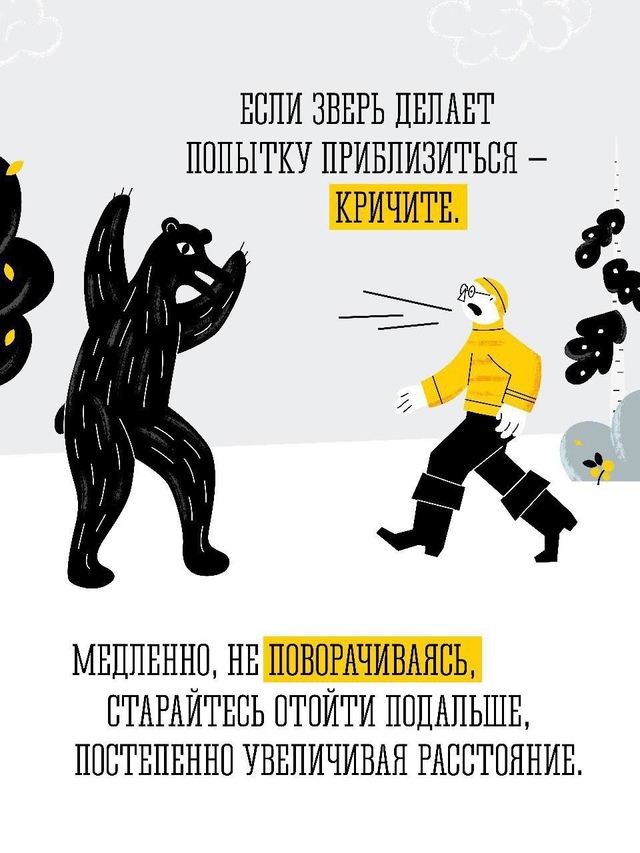 🐻Бурый медведь – крупный, опасный для человека хищни?...