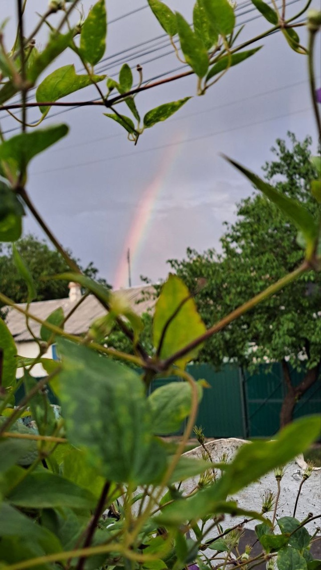 🌈 фото от подписчиков