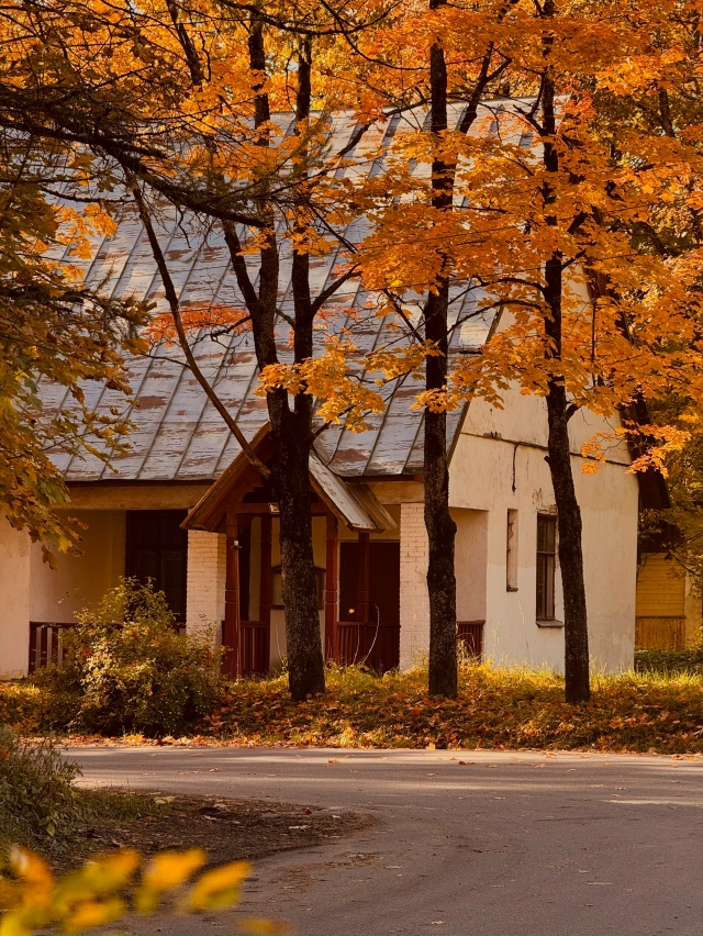 Осень золотая🍁