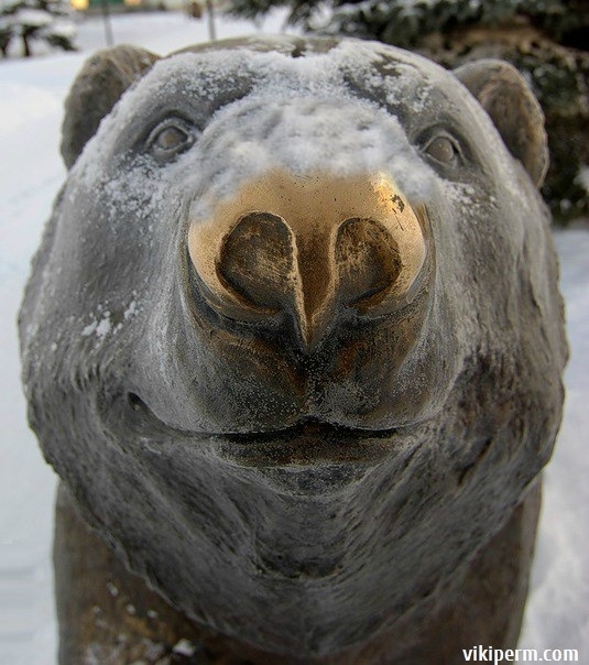 Зима на носу😉 А вы все ругаетесь