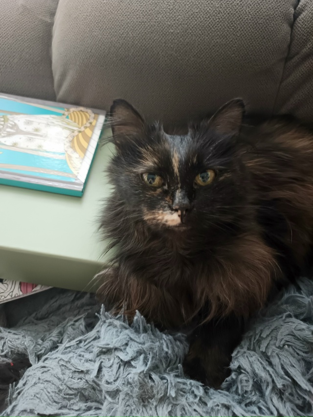 Мжвячная Нюша передаёт вам зёв