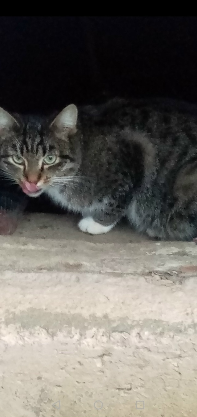 В одном из подвалов дома в юго-западном районе появила?...