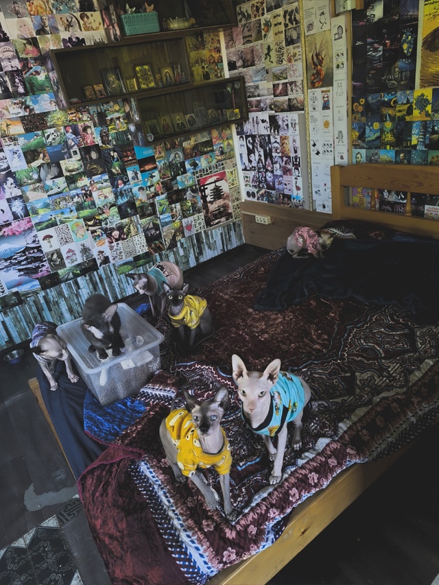 Привет всем.
Банда ?
Пыль,Слон,Пушкин,Грязь,Леопольд,Н...