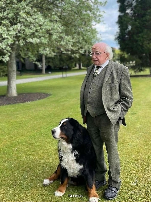 Президент Ирландии Майкл Хиггинс давно известен не то?...