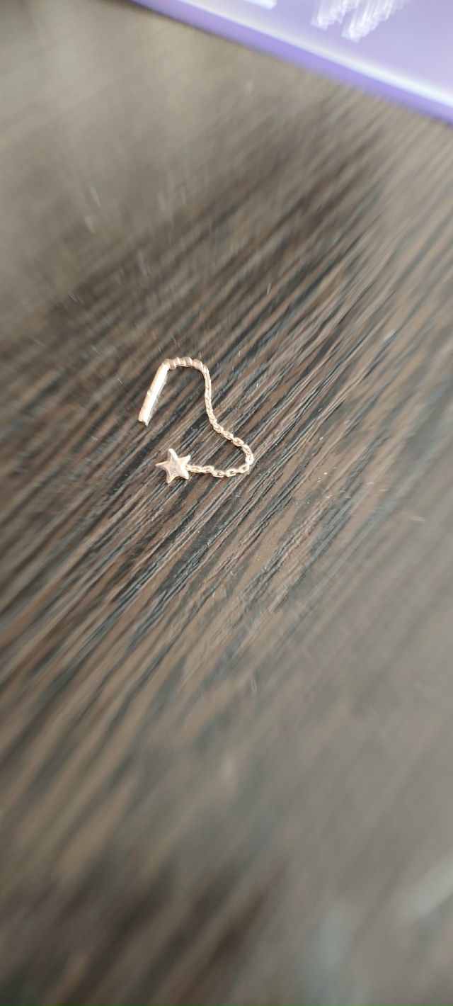 Около школы нашли серёжку (золотая).