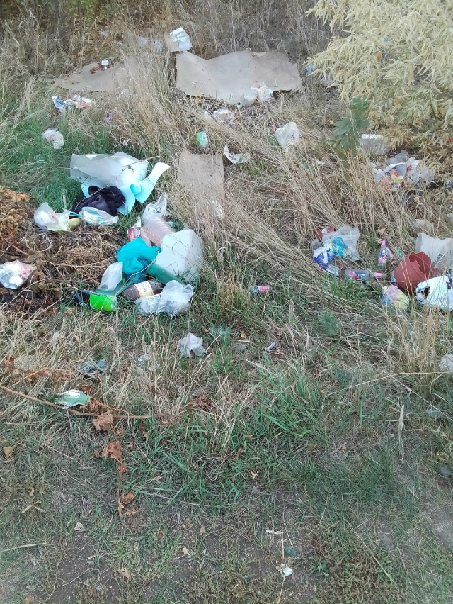 На улице Московская проживают свиньи