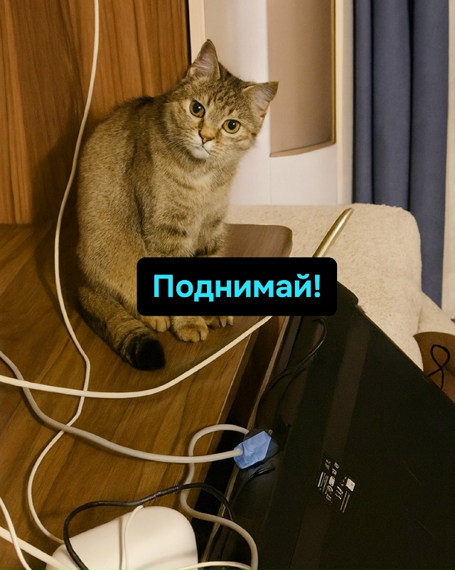 Лицо, на котором написано: «Я не виноват, но это было кр?...