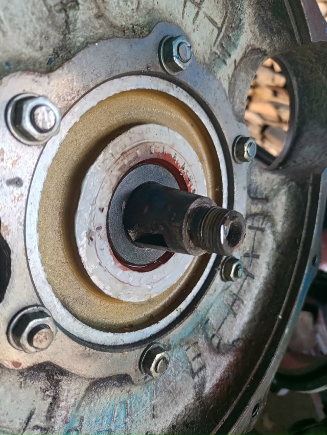 Всем привет и не гвоздя не жезла. Может есть у кого плаш...