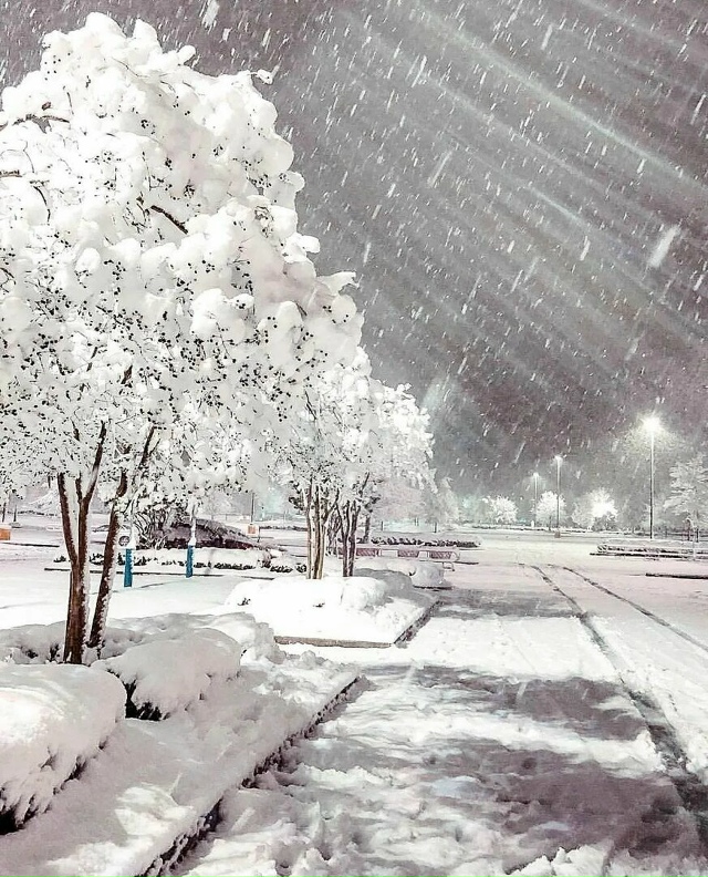 ❄ Снегопады нагрянут не раньше середины декабря
По пр...