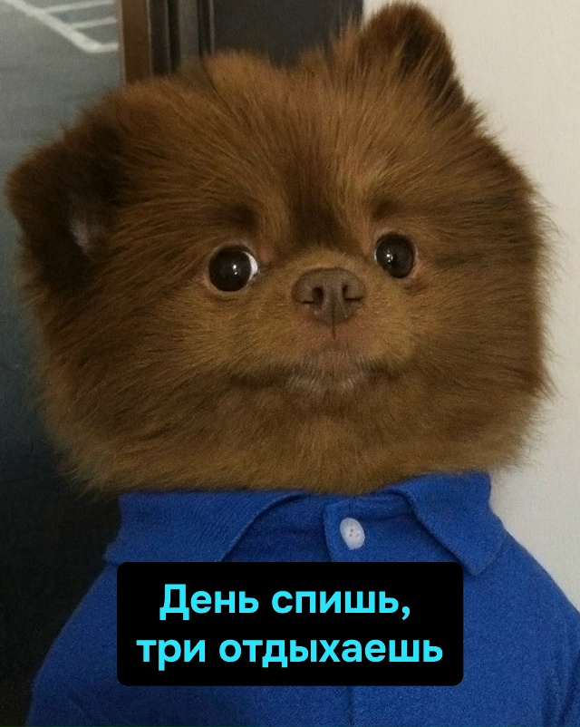 Главное — вовремя гавкнуть, чтобы думали, будто ты при ...