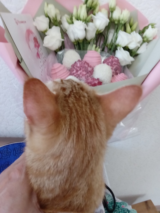Тимошка и букетик💐🥰🌷