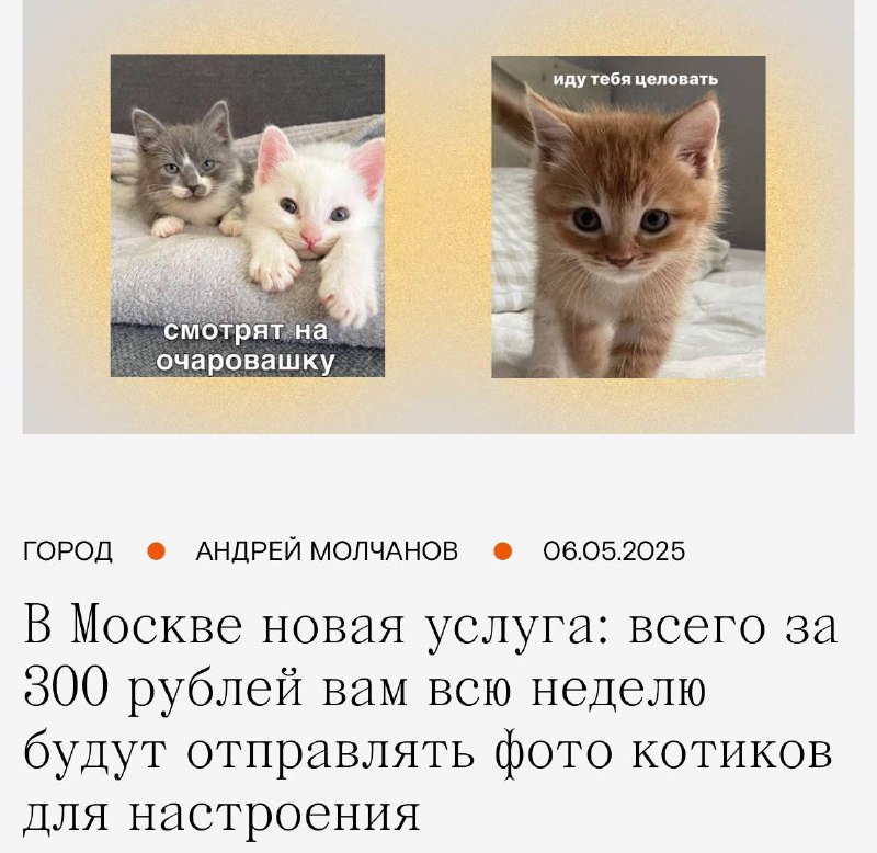 Милота: в Москве теперь можно оформить подписку на ФОТО КОТИКОВ.
За 300 рублей в месяц дельцы будут