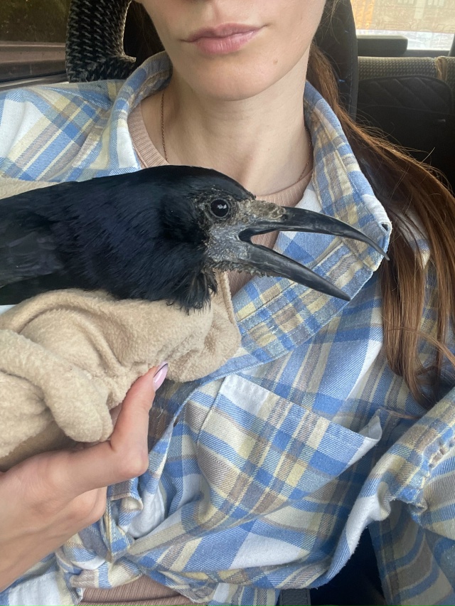 Здравствуйте.
Ищу: койко - место, недалеко от метро: Меж...