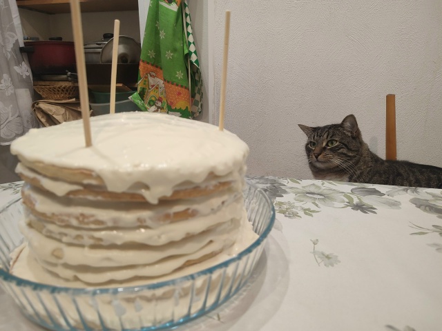 #Мотя и мечты о тортике