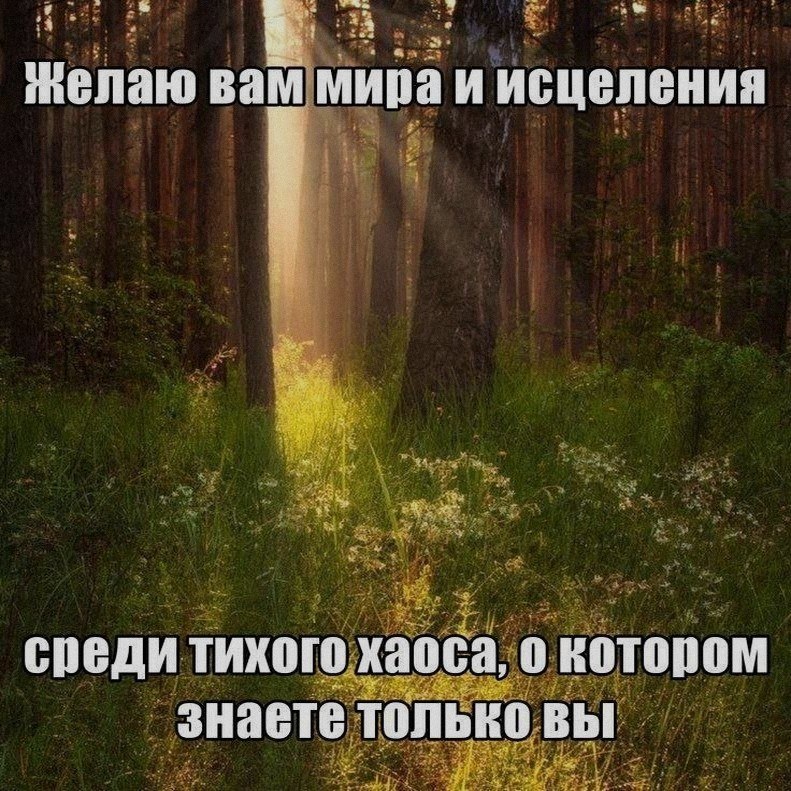 Ночная подборочка
Спать, режим