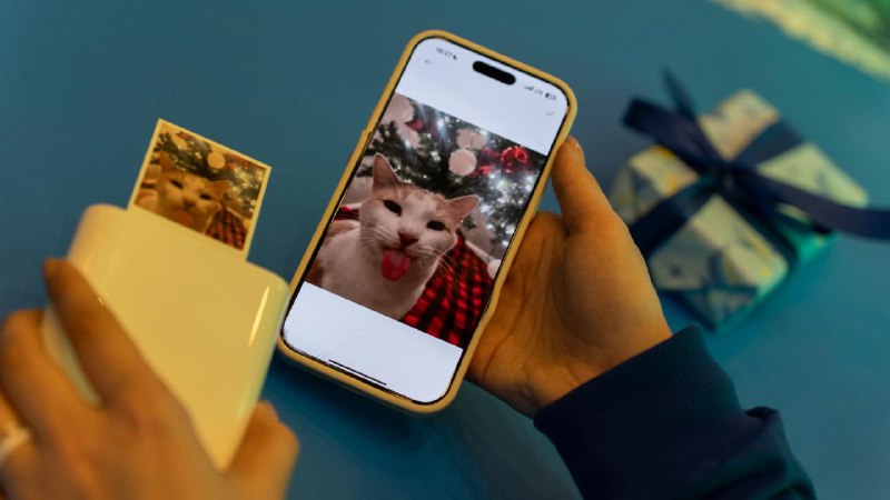 Девочки, в Москве до 29 декабря можно бесплатно и красиво упаковать подарочки своим близким в сказоч