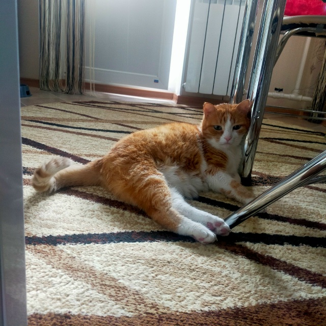 твоё лицо когда ушиб мизинчик об тумбочку
#егобезейше...