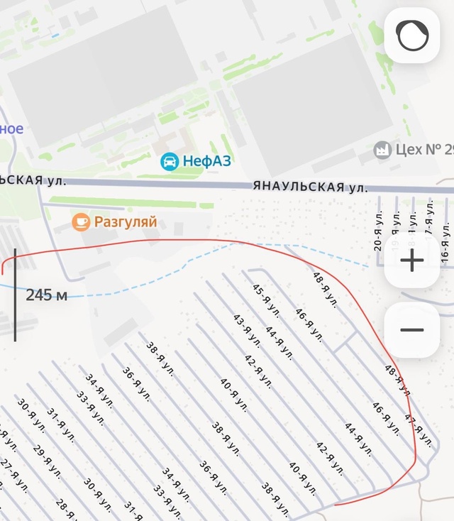 ⚡️Очевидцы сообщают, что на СНТ «Восход» гуляет медве...
