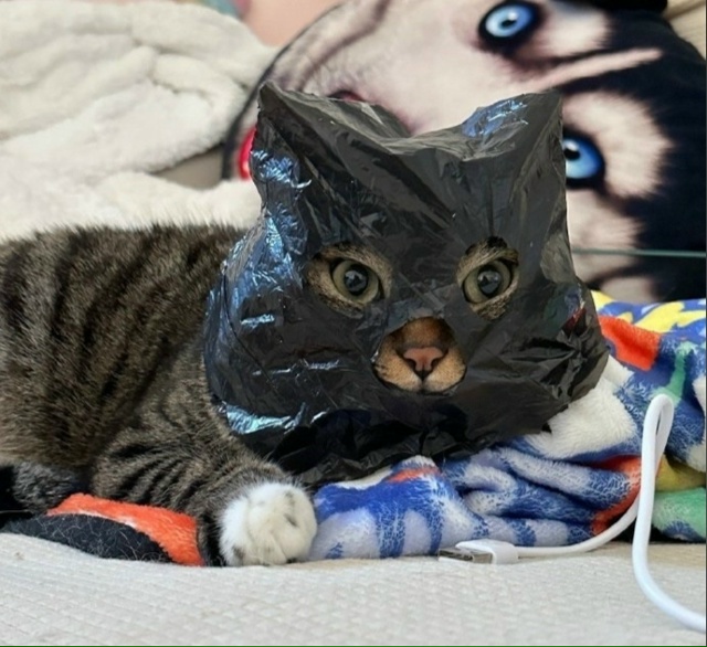 Всю еду на стол - это ограбление)