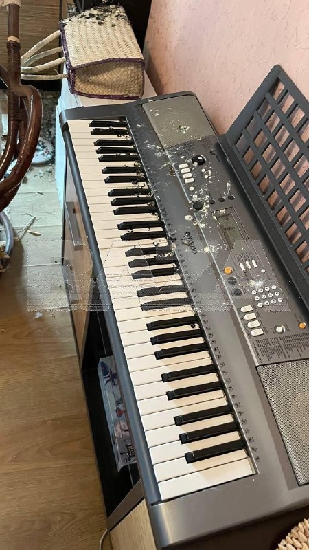 Голуби захватили квартиру жительницы Саратова, пока та была в отпуске.
За два месяца отсутствия жен