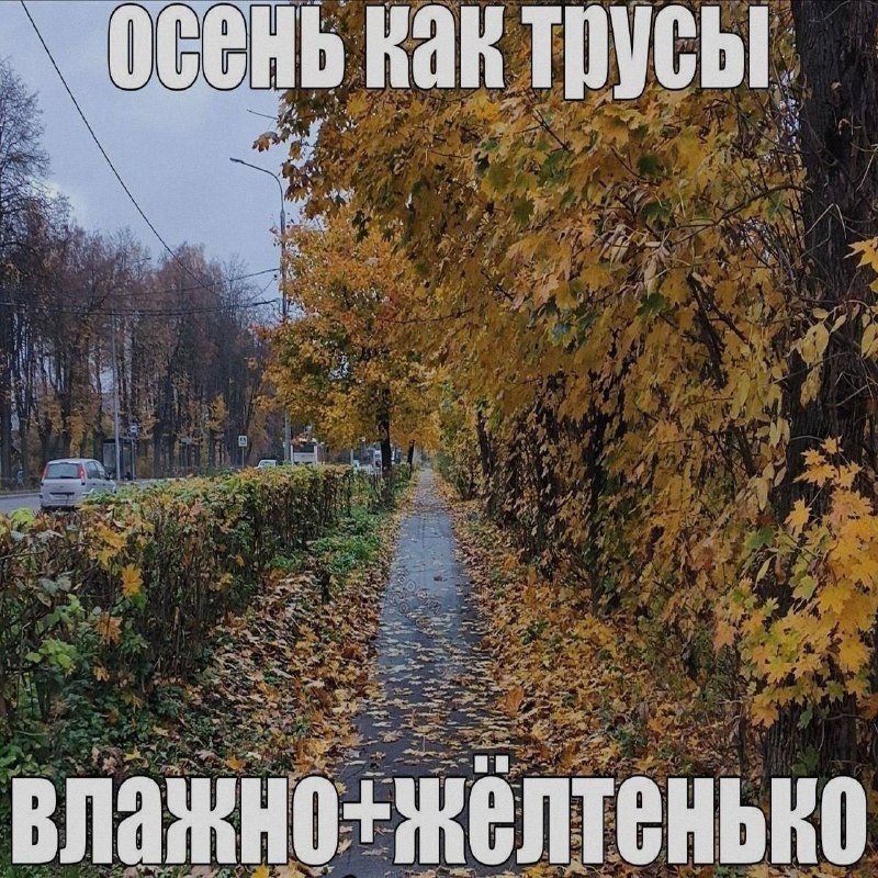 Ночная подборочка
Выходные, не спим