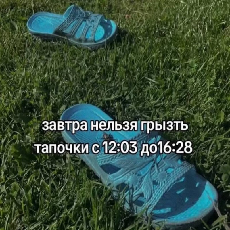 Ночная подборочка
Спать, режим