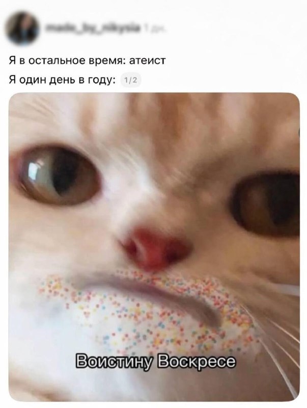 Признавайтесь, кто?