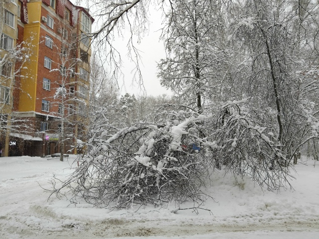 «Акaдeмгopoдoк зaвaлeн cнeгoм. Убopoчнaя тeхникa букcуeт в cугpoбa...