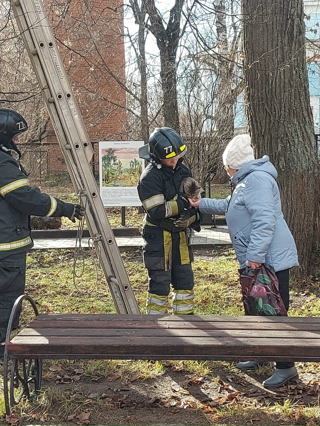 Спасение кошки в Парке Пермского периода 🐈🚒
Хоть сл?...