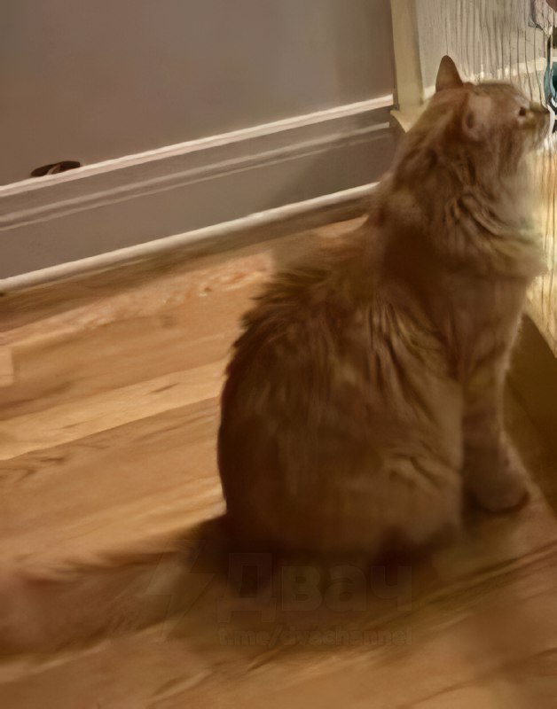 Такой вот какой ты, значит, человек, Наташа. С гнильцой.