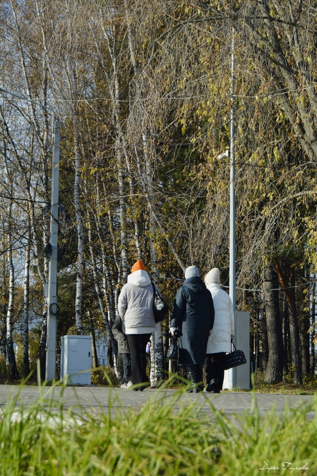 Количество солнечных дней сокращается.
Как поднимает?...