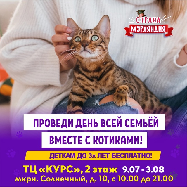 Видное ! С 9 июля по 3 августа ! Котопространство «Страна...