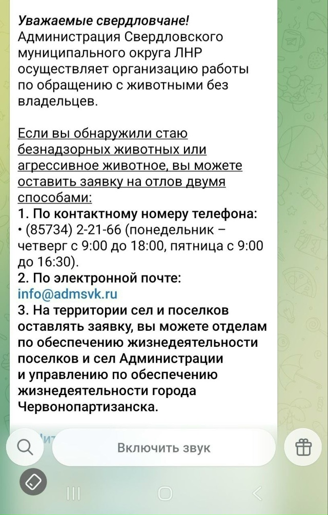 На все посты про собак присылают такую информацию. Мне ...