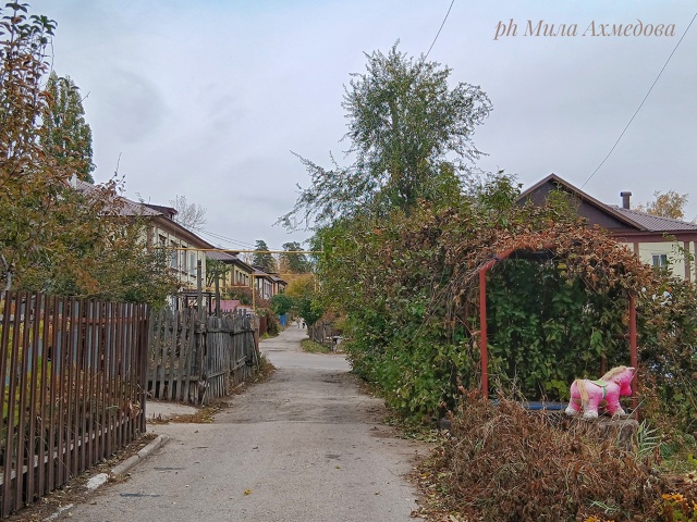 Красота в глазах смотрящего
Портпоселок 🍁🍂
Фотогра...