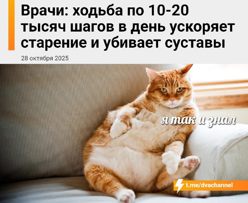 Ежедневная ходьба по 10-20 тысяч шагов не укрепляет здоровье, а наоборот — ускоряет старение и разру