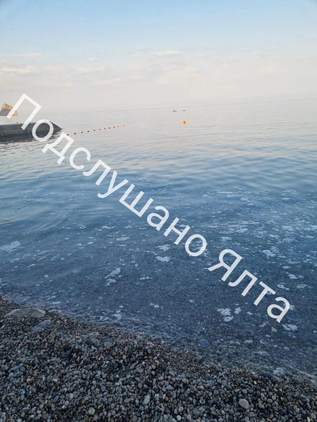 Отдыхаем в Кацивели , и вот такой ужас в море лично заме...