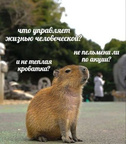 Утренняя подборочка