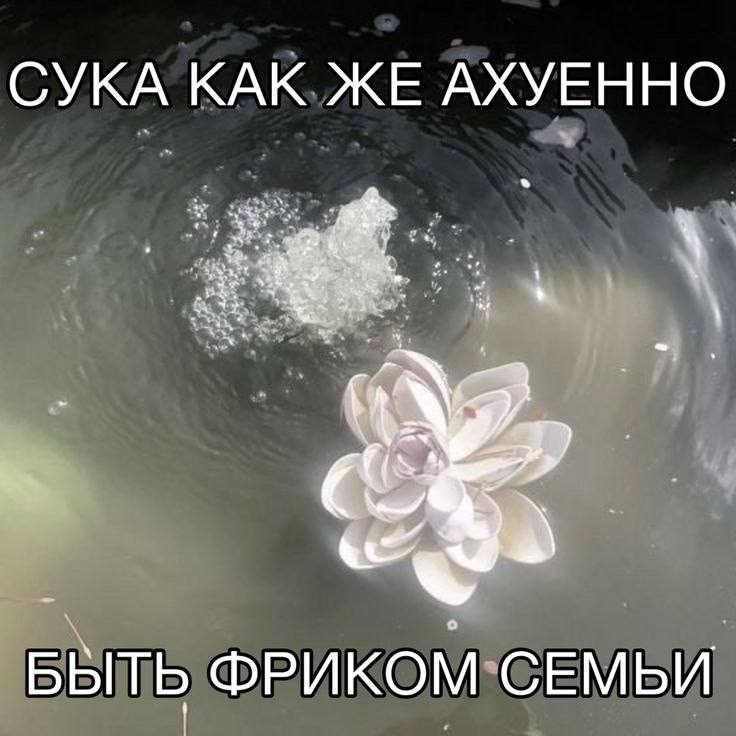 когда не вышла замуж в 19 лет по залету, чтобы через год развестись и растить ребенка одной