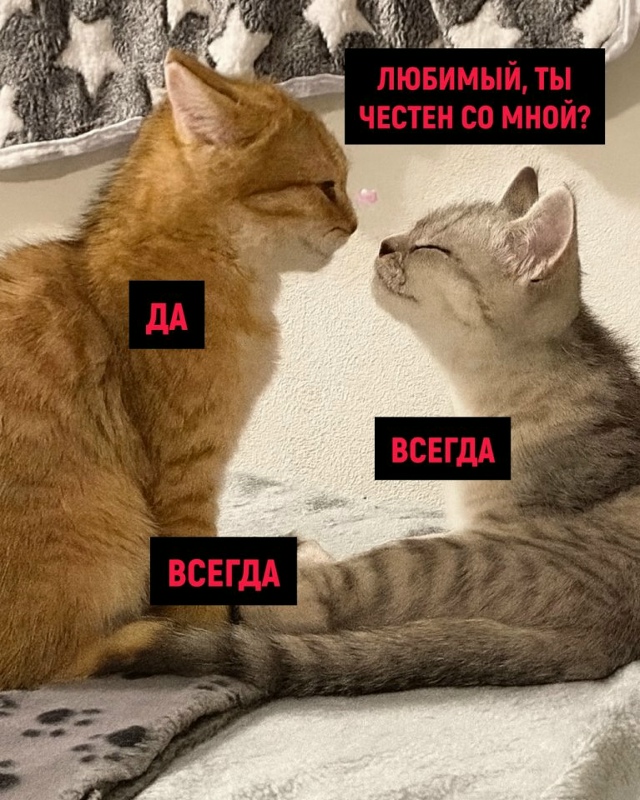 Любовь такая любовь😅