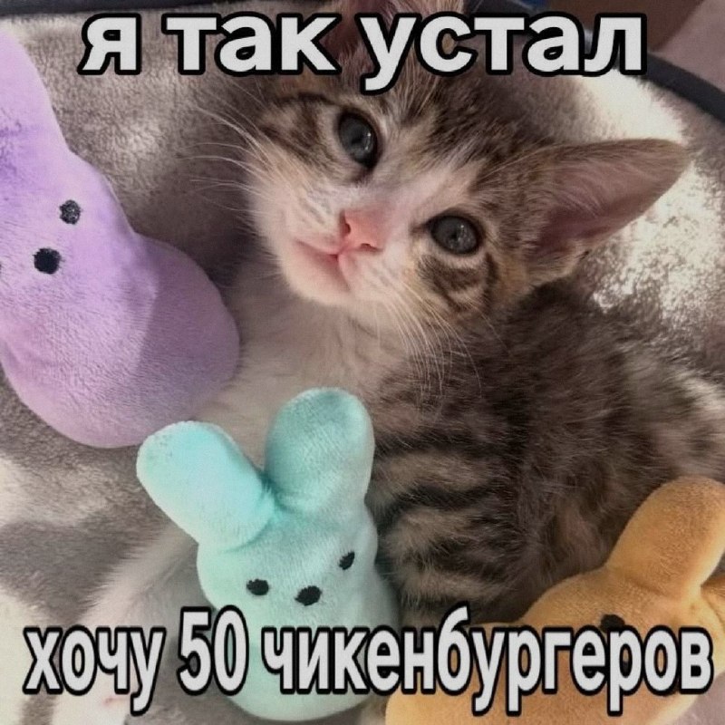 Ночная подборочка
Спать, режим
