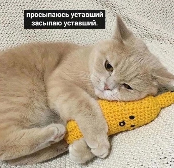 Саш, помоги